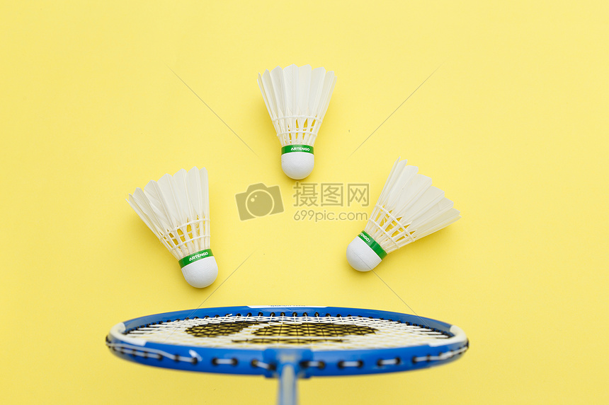 这项计划的 这项计划的